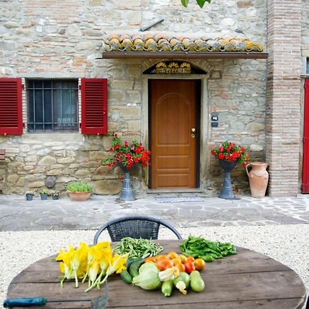 Casa Donella B&B Gricignano Buitenkant foto